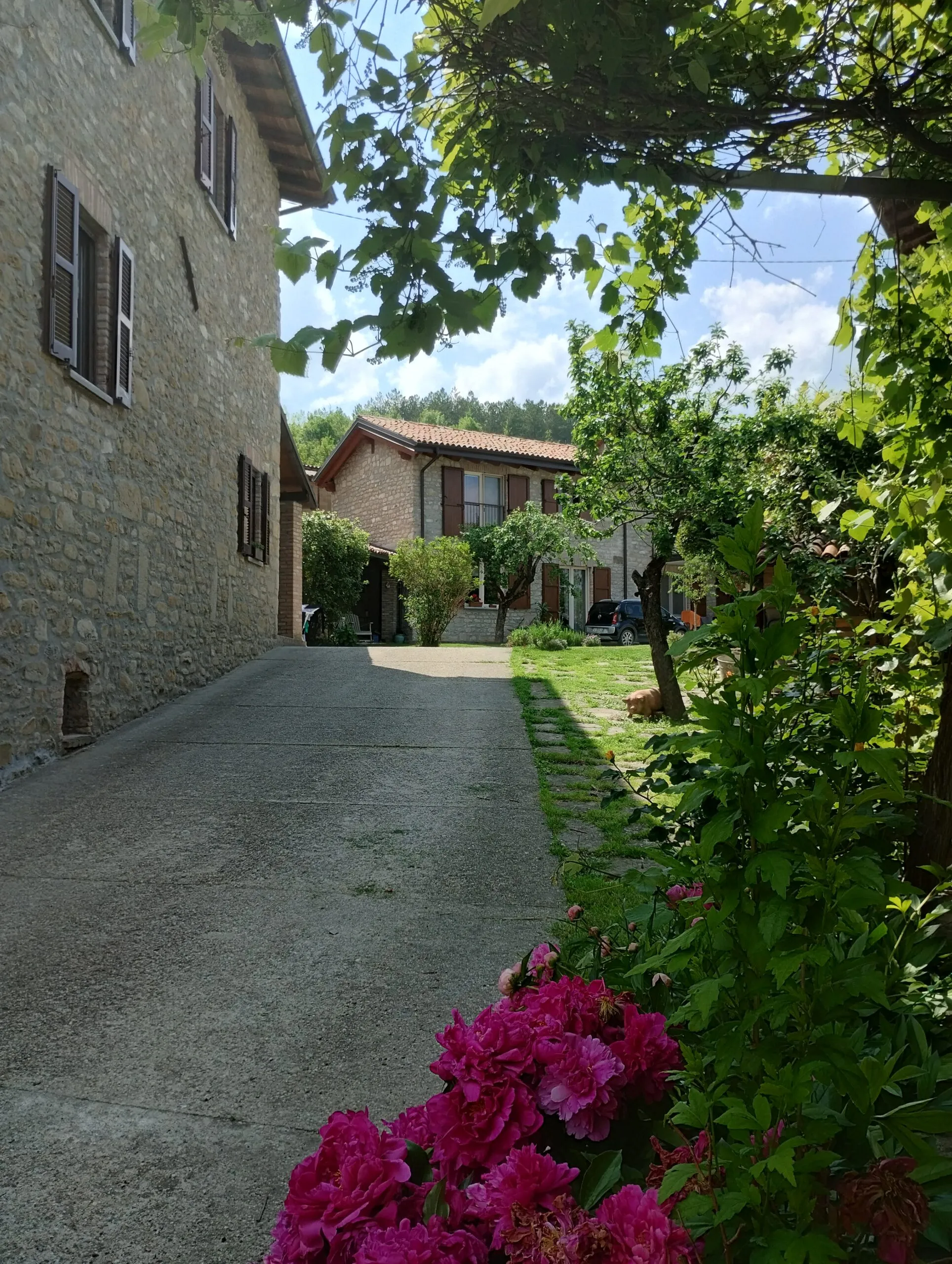 cortile con giardino