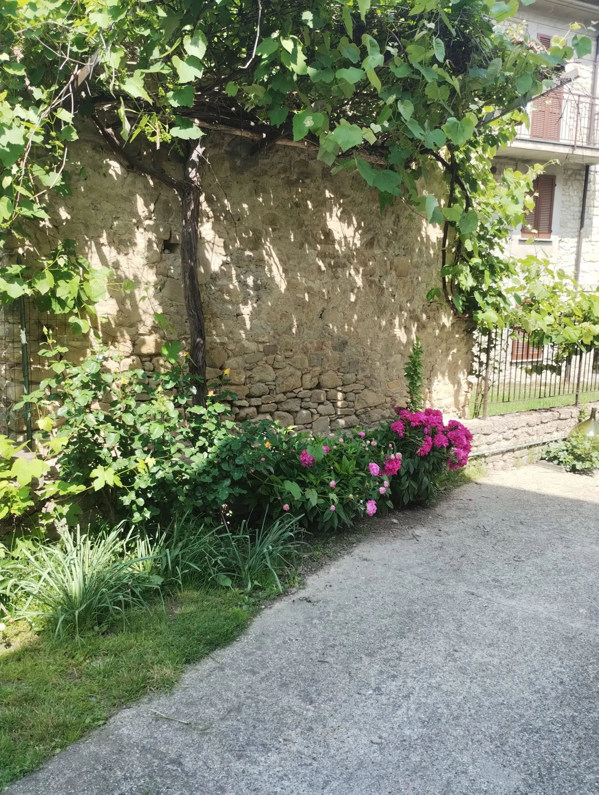 giardino