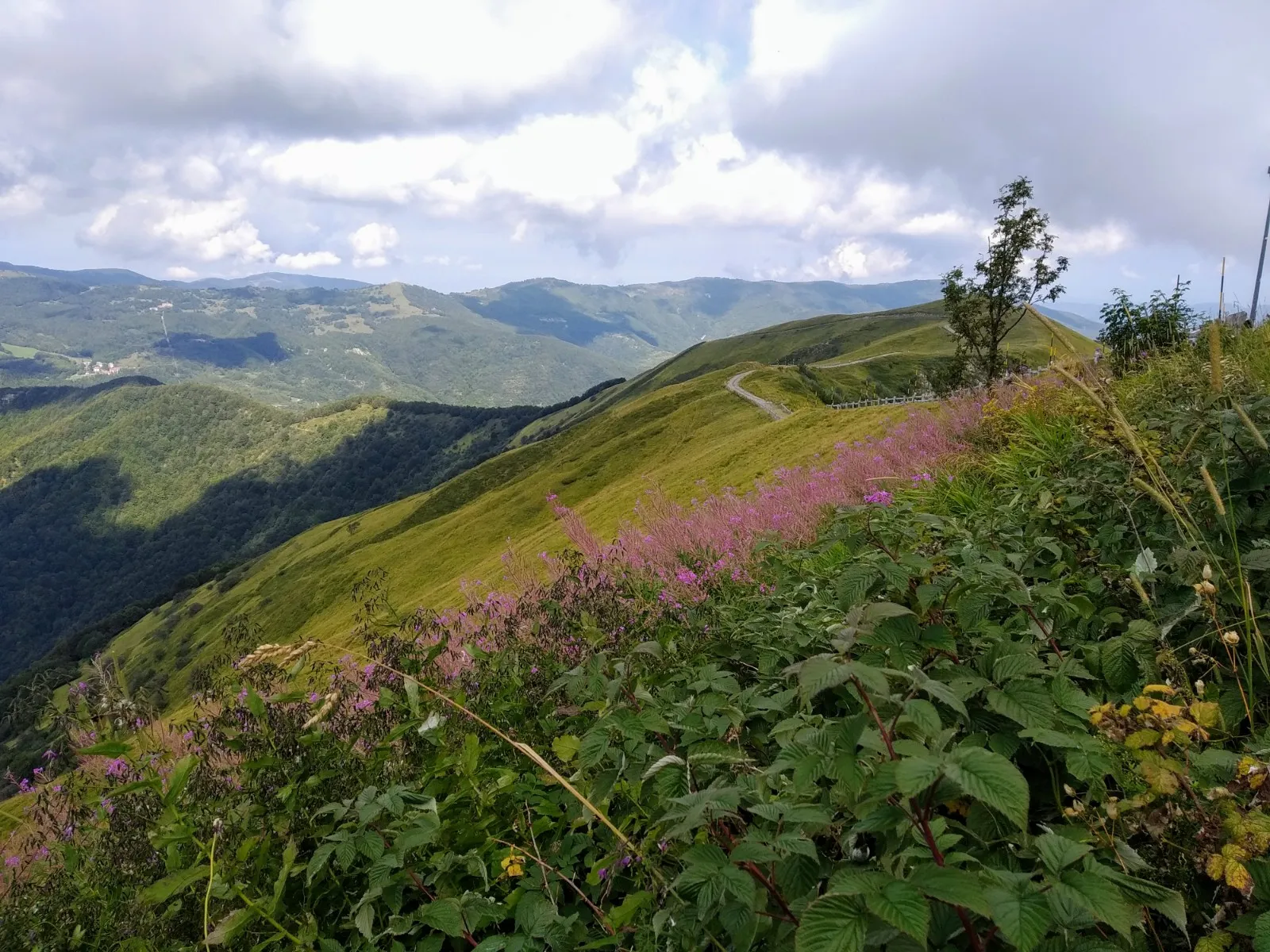 Monte Lesima Val Trebbia
