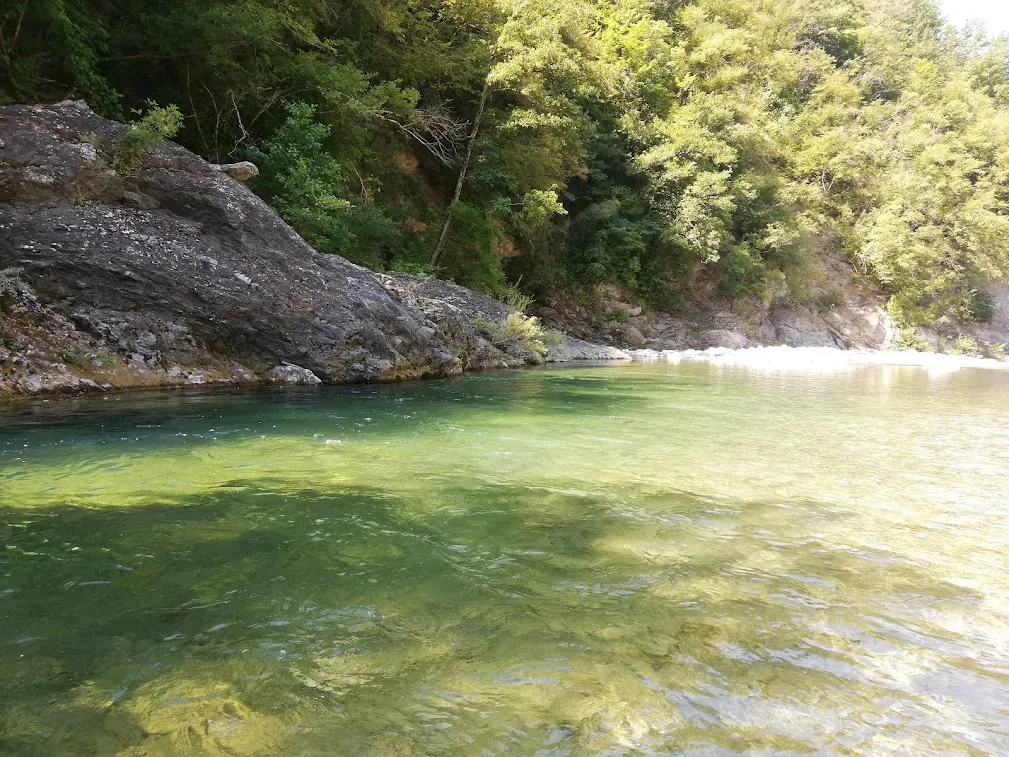 Trebbia
